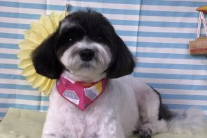7月のお友達☆