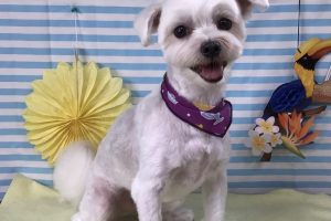 7月のお友達☆