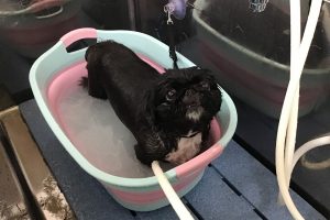7月のお友達☆
