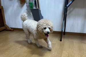 お泊まり中☆