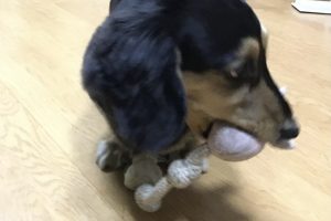 お泊まり中☆
