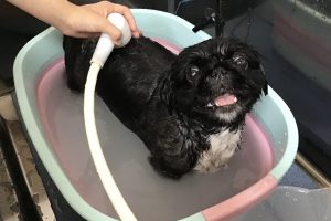 8月のお友達☆