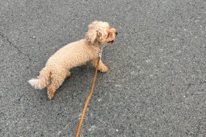 お泊まり中☆
