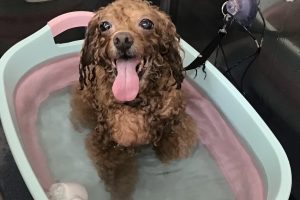 8月のお友達☆