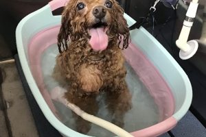 8月のお友達☆