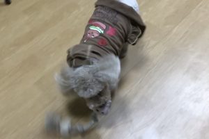 お泊まり中☆