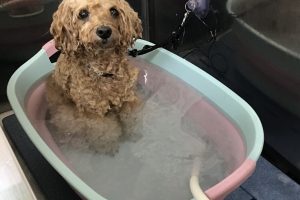 8月のお友達☆