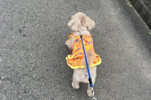 お泊まり中☆