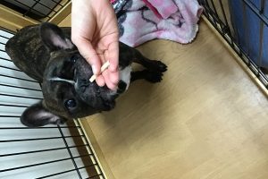 お泊まり中☆