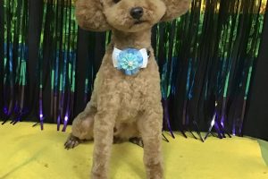 8月のお友達☆