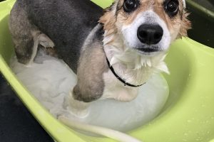 8月のお友達☆
