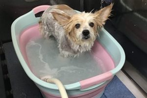 8月のお友達☆