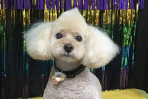 8月のお友達☆