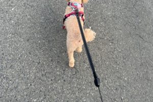 お泊り☆