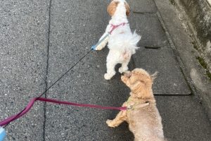 お泊り☆