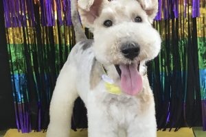 8月のお友達☆