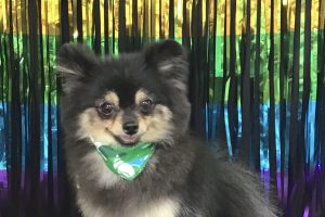 8月のお友達☆
