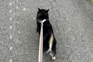 お泊まり中☆