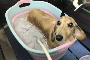 8月のお友達☆