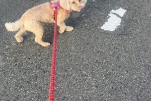 お泊まり☆