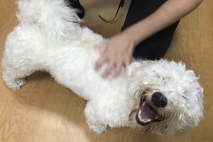 お泊まり中☆