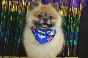 8月のお友達☆
