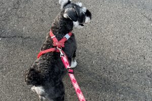お泊まり中☆