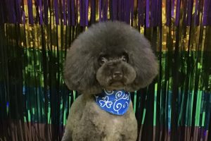 8月のお友達☆
