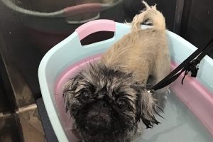 8月のお友達☆