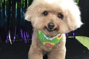 8月のお友達☆