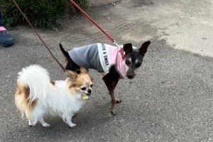 お泊まり中☆