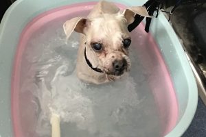 8月のお友達☆