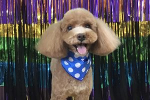 8月のお友達☆