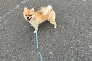 お泊まり☆
