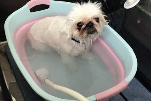 8月のお友達☆