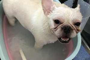 8月のお友達☆
