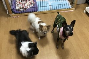 お泊まり中☆