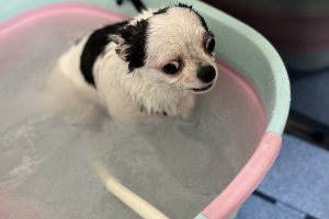 8月のお友達☆