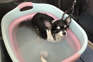 8月のお友達☆