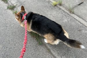 お泊まり中☆