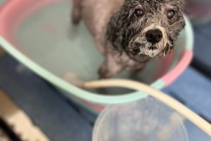 8月のお友達☆