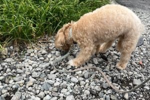 お泊まり中☆