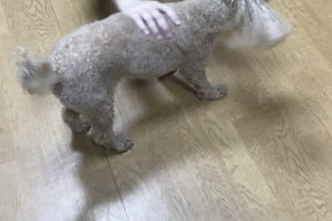 お泊まり中☆