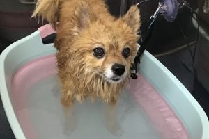8月のお友達☆