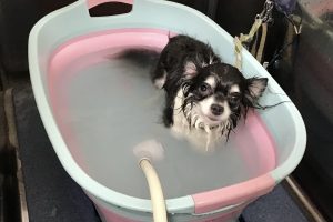 8月のお友達☆