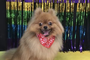 8月のお友達☆