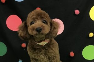 9月のお友達☆