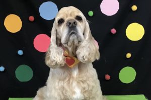 9月のお友達☆