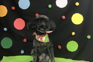 9月のお友達☆