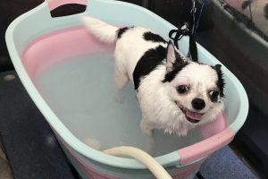 9月のお友達☆